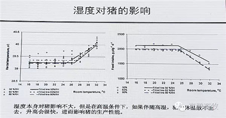 解除痛点！用动物福利理念提升养猪产业