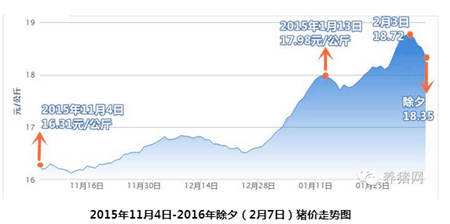 立冬前猪价都能平稳上涨 但年前不止涨到9元