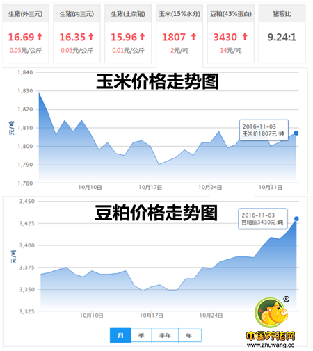 11月3日猪评：猪价上涨是大势所趋 猪价或提前回到9元