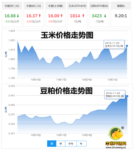 11月4日猪评：天气回升上涨停滞 但有利猪价在后期爆发