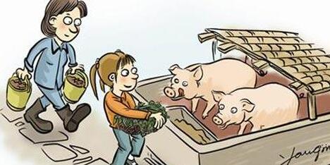 东北加大压价力度,预计猪价涨势不改……