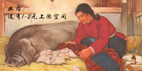 业内认为：猪价还有1-2元/公斤的上涨空间