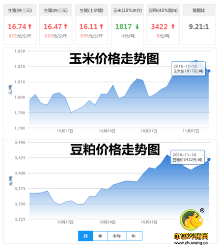 11月10日猪评：什么？ 猪价或将在短时间内涨到17元/公斤！