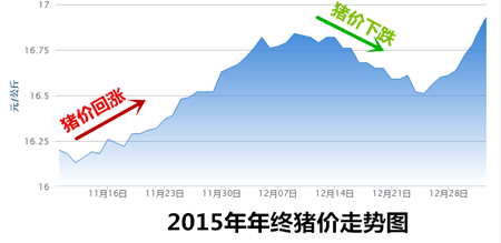 抛开思维定势 猪价在年前有没有下跌的可能