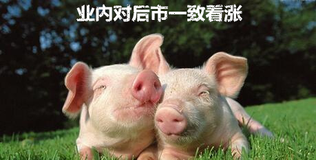 均价16.78元/公斤，业内对后市猪价一致看涨