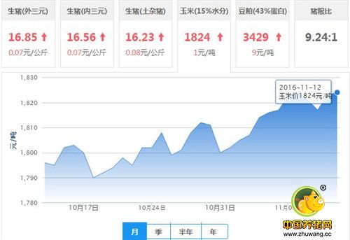 今日均价上涨7分，17元/公斤将成为出栏节点