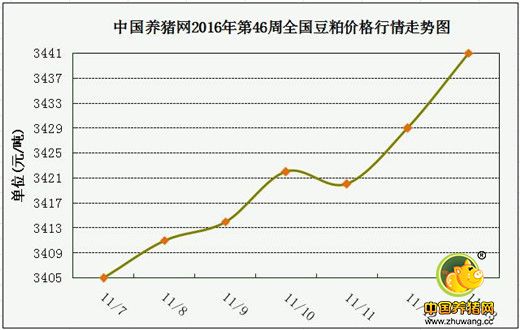 一周综述：猪价上涨遇风险？会再转跌么？