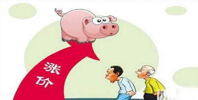 业内：今年猪价提前上涨，难么会不会提前下跌呢