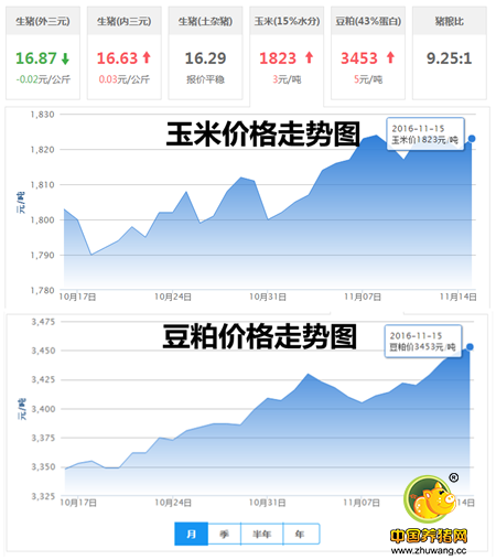 11月15日猪评：供需博弈激烈 后期猪价上涨依旧是主流行情