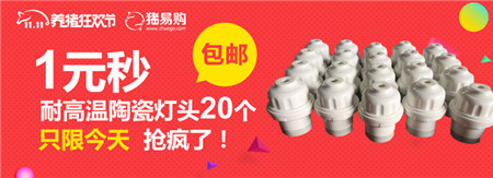 猪易购双11战报:1元秒杀,5个小时,3万个灯头