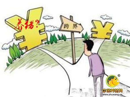 洪洞毛增奇:“门外汉”变养猪行家 带领群众致富