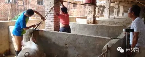 美女相亲遇猪农, 怒骂其没文化！他只回她一句话......