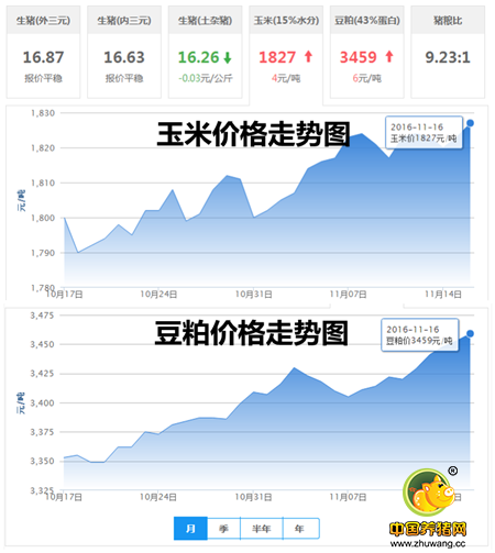 11月16日猪评：能繁母猪存栏再次减少 北方猪价恢复上涨