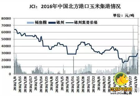 我国东北玉米外运紧张连累南方，铁路和进口谷物优势明显