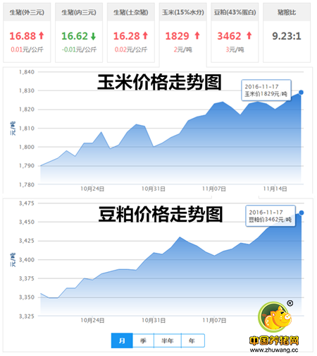 11月17日猪评：市场利好!猪价滞涨的情况有望在周末得到改善