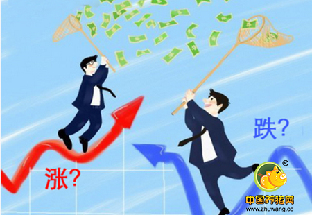 涨还是跌？下周猪价会怎样