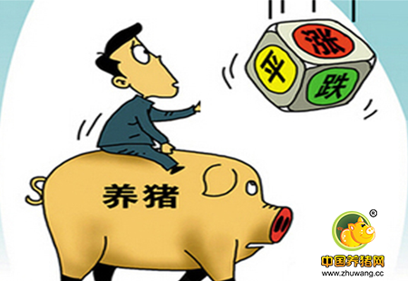 养猪就像坐过山车暴涨暴跌 善变的猪价你咋不上天?!