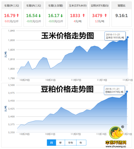 11月21日猪评： 缓慢上涨?本周猪价能否突破17元/公斤