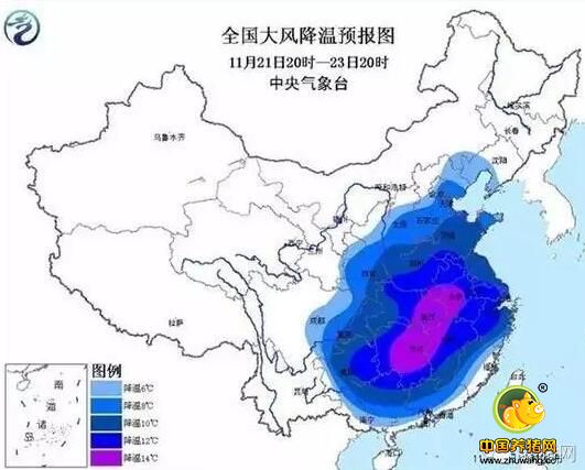 最强寒流来袭！猪价向9元冲刺的机会来了！