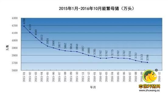 亦喜亦忧说存栏——2017年中国肥猪出栏量预测