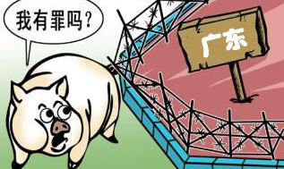 养殖禁养区内竟有82个养殖场 他们是如何“投机取巧”的