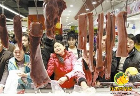 天太冷了都在抢着买猪肉！ 猪价没有下跌空间