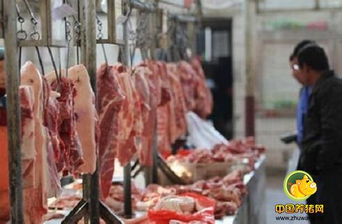 393份空白检疫证送人，数万头生猪直接上餐桌，结果……