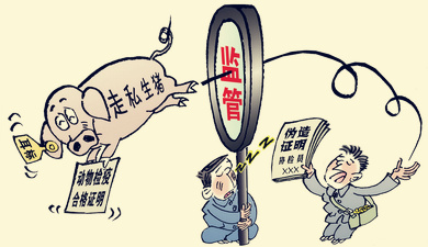 广西连夜审查越南走私猪涉案官员