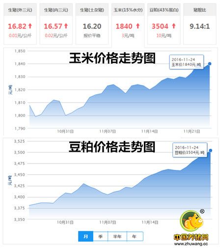 11月24日猪评：农业部数据显示猪价肉价上涨 屠企还在压价