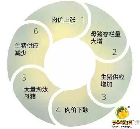 我们每年吃掉7亿头猪！养猪人到底赚不赚钱？