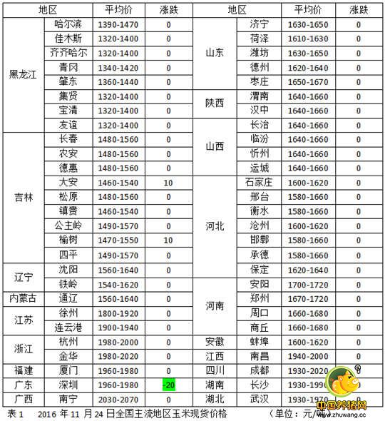 玉米涨价多日!饲料涨价?为什么总是养殖户受伤!
