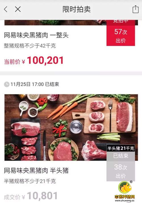等了七年的网易丁家猪终于开卖，一头猪卖8万8