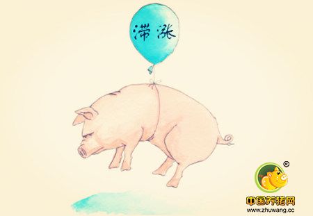 生猪供应很难出现大幅度的回升 需求端的利好在增加