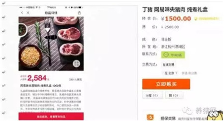 头猪11万,第二只拍出16万!放心,只是商业操作!