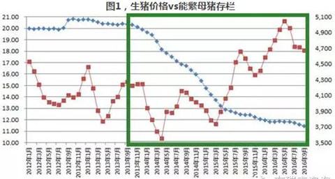 母猪存栏：禁养和新建项目的赛跑