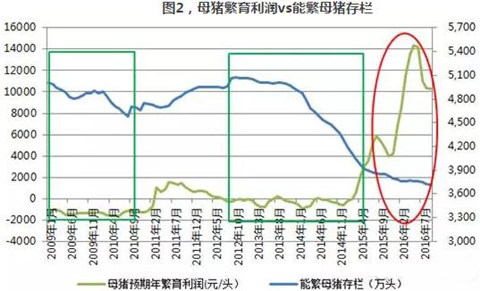 母猪存栏：禁养和新建项目的赛跑