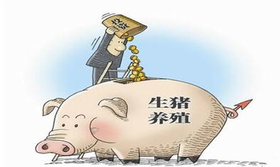 本周猪价态势依旧向好,但后市整体行情波动幅度不大
