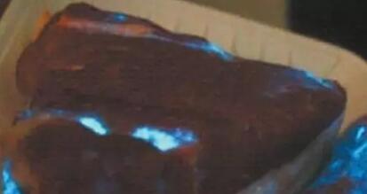 河南一居民买到夜明猪，天黑会发出蓝光（图）