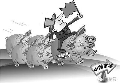 这个因素严重影响国内猪价，背后原因可怕……