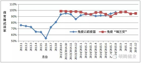 “瑞兰安”对PRRS阳性生长猪群免疫效果怎样？答案在这里！