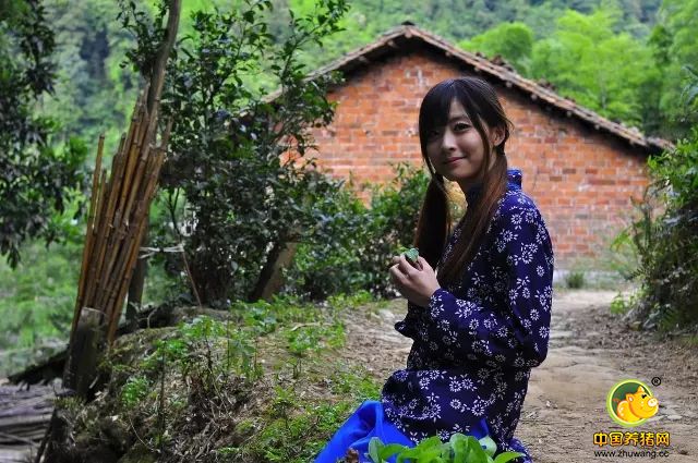 紧急通知！养猪人请速速回老家！因为马上就要…