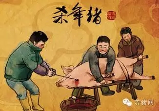 紧急通知！养猪人请速速回老家！因为马上就要…