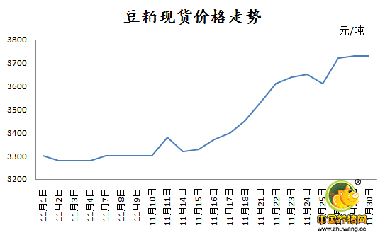猪价不火不热 豆粕价格却飙升至3700元/吨以上！