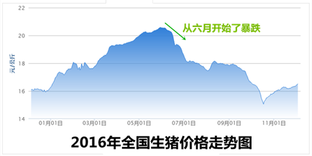 涨的这么慢？！进口猪肉仍是大问题