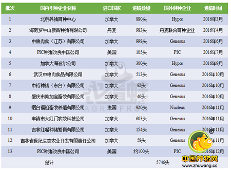 2016年我国进口5746头曾祖代种猪