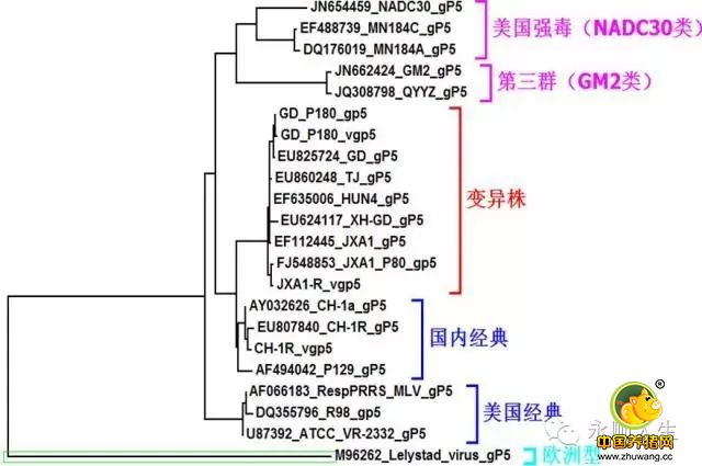 蓝耳“匪情”攻法解析之四