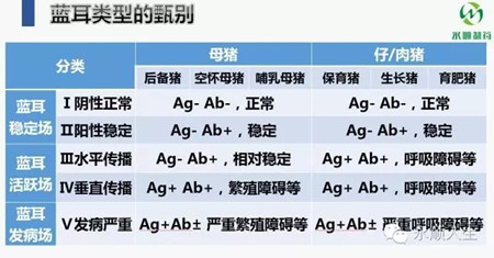 蓝耳“匪情”攻法解析之四