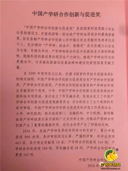 腻害了WORD惠嘉——这一次整了个国字号的!