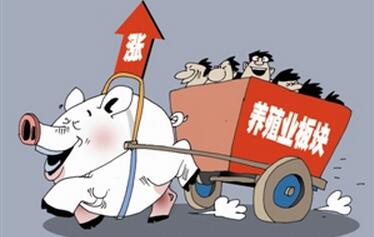 2016年即将过去,养猪人有哪些经验教训需总结?