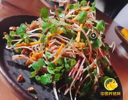 70万人围观!这头卖了16万RMB的猪,终于被吃了!